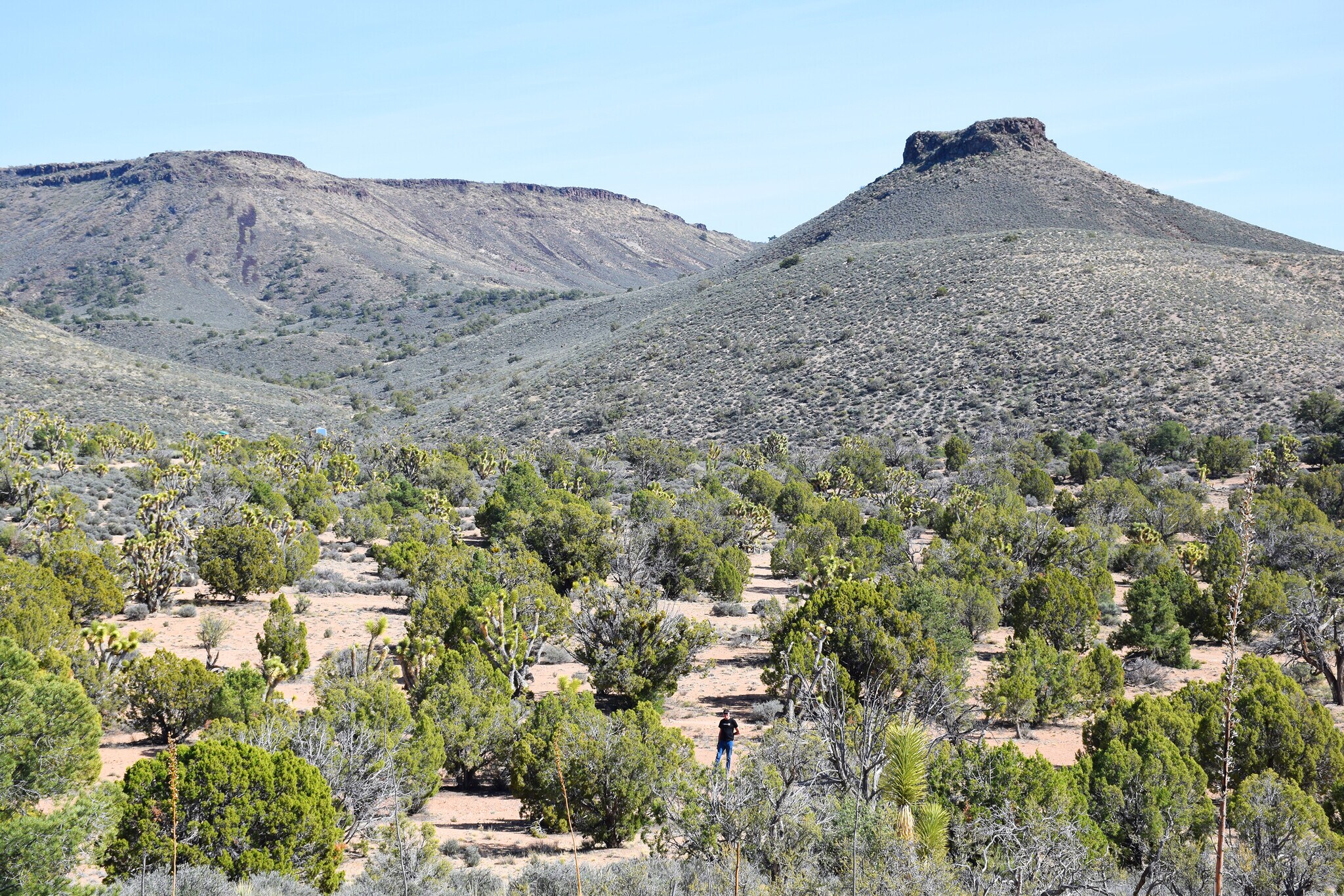 5838 E Diamond Bar Rd, Meadview, AZ à vendre Photo du bâtiment- Image 1 de 6