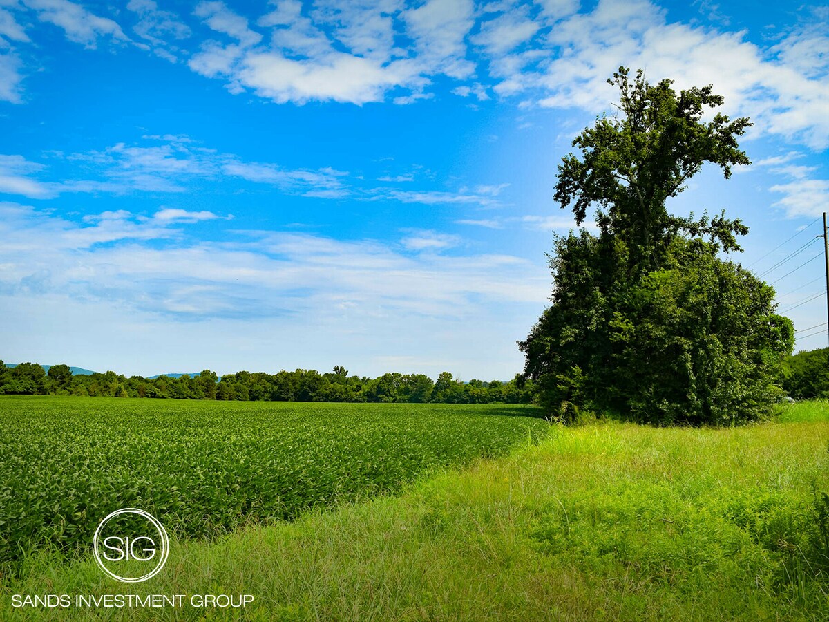 8924 Highway 431 South, Owens Cross Roads, AL à vendre Photo principale- Image 1 de 1