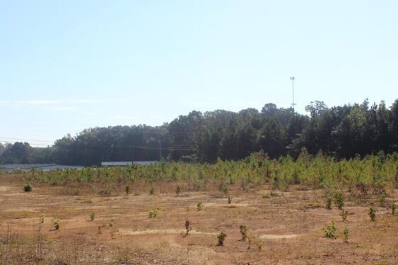 00 County Road 715, Cullman, AL à vendre Autre- Image 1 de 2