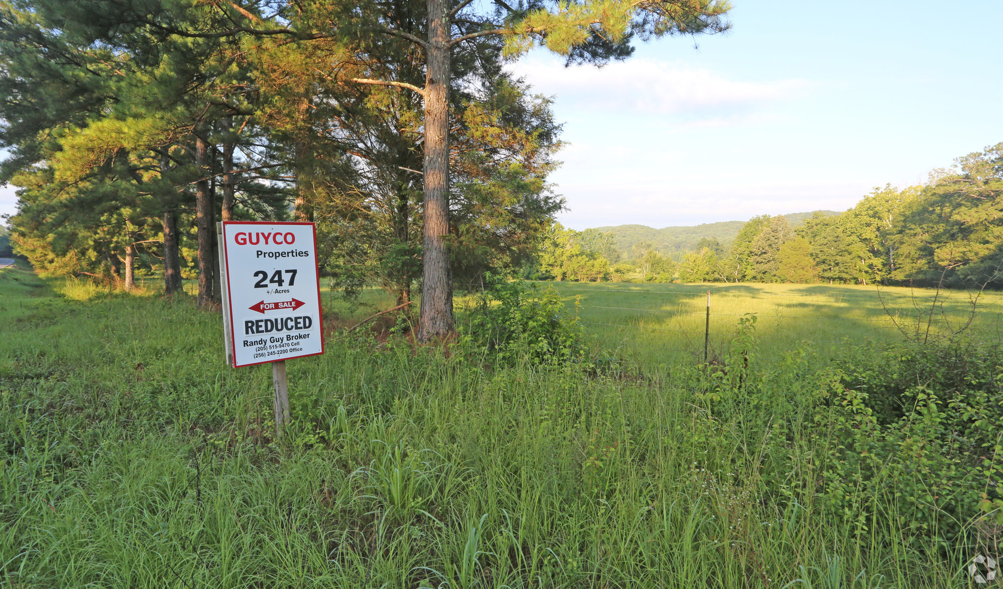 8820 Childersburg Fayette Hwy, Childersburg, AL for sale Primary Photo- Image 1 of 1