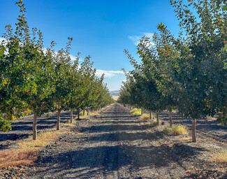 Plus de détails pour Buttonwillow Drive, Buttonwillow, CA - Terrain à vendre