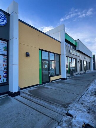 Plus de détails pour 30 Savanna Cres NE, Calgary, AB - Vente au détail à vendre