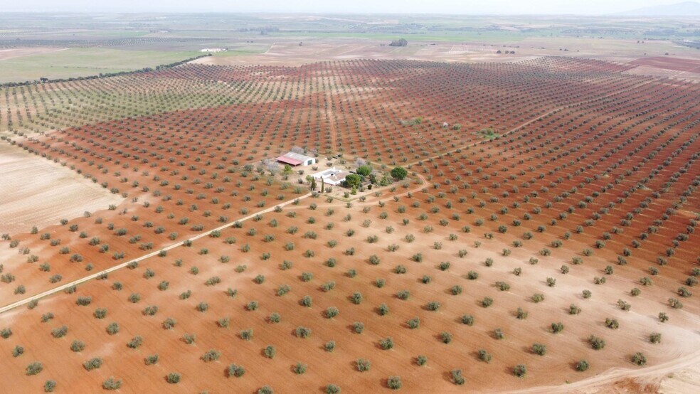 Terrain dans Solana de los Barros, Badajoz à vendre - Photo du bâtiment - Image 3 de 49