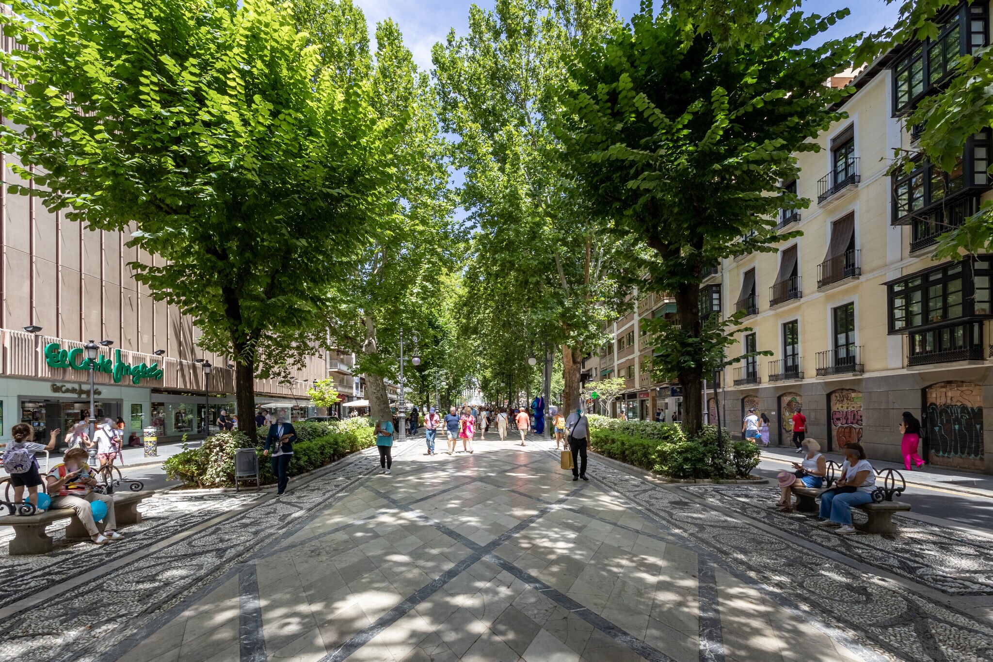 Calle Mirasol, 18, Granada, Granada à vendre Photo principale- Image 1 de 38