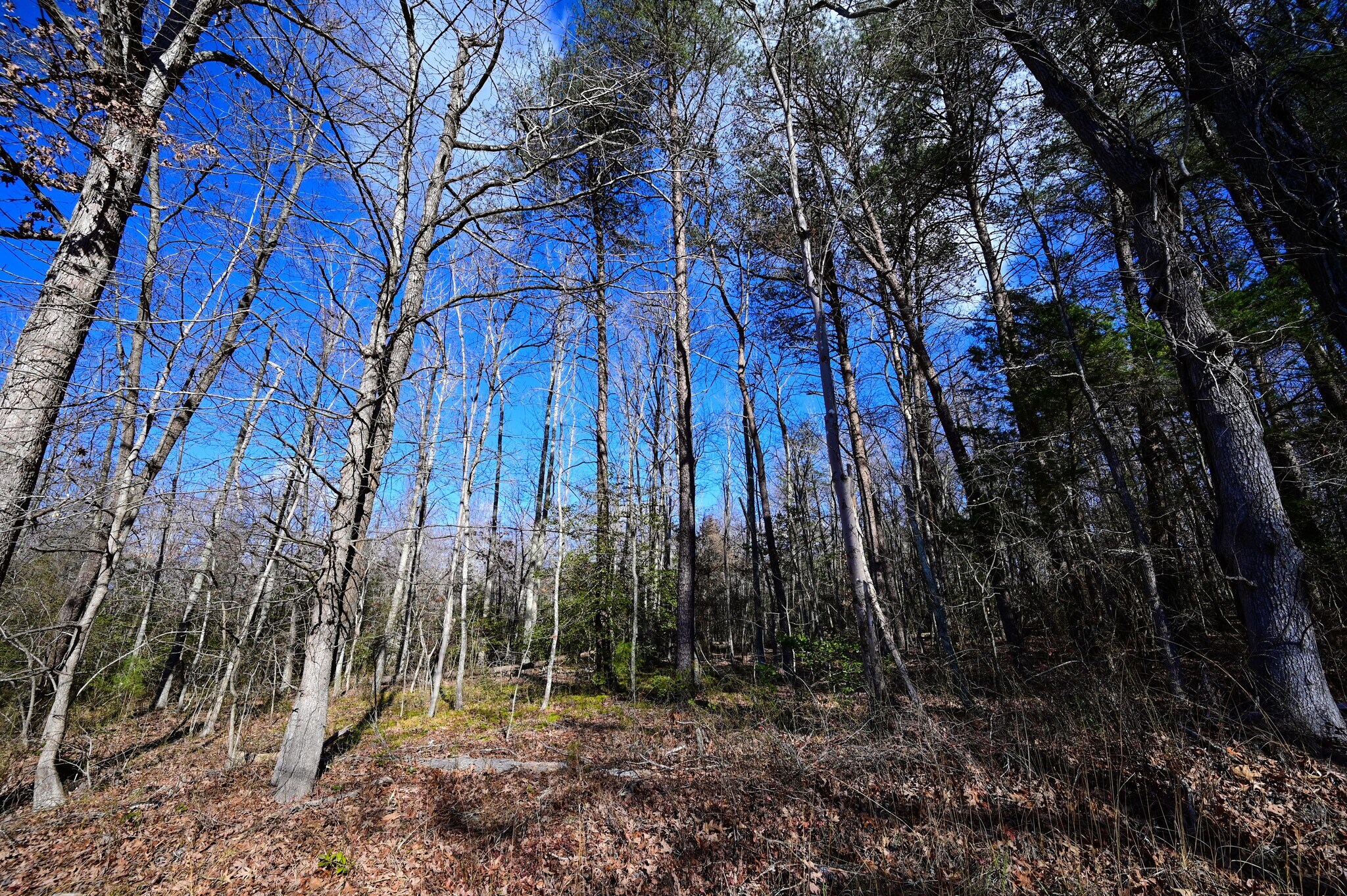 Stuckey Rd, Indian Head, MD à vendre Photo principale- Image 1 de 15