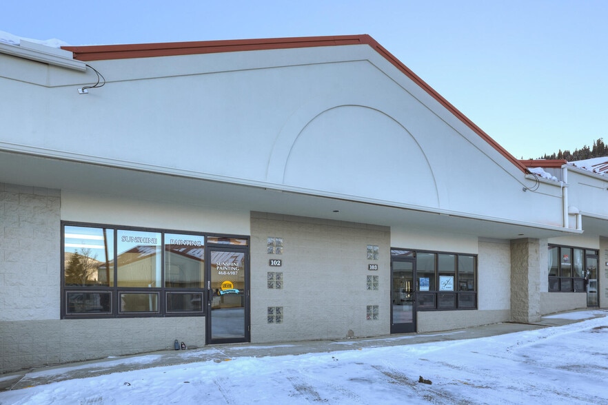 365 Warren Ave, Silverthorne, CO for lease - Building Photo - Image 3 of 43