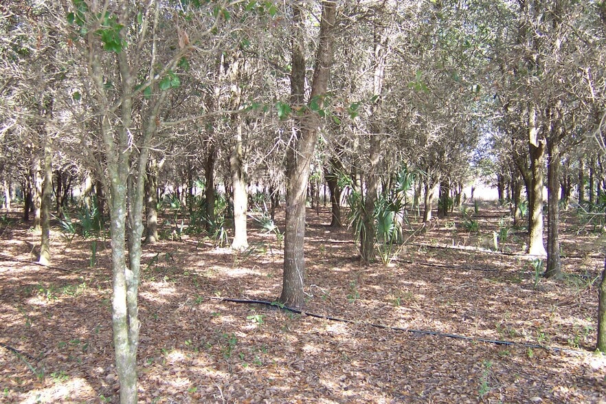 1620 Tobias St, Naples, FL à louer - Photo du bâtiment - Image 3 de 6