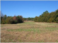 703 Broad ave, Rockingham, NC for sale - Primary Photo - Image 1 of 1