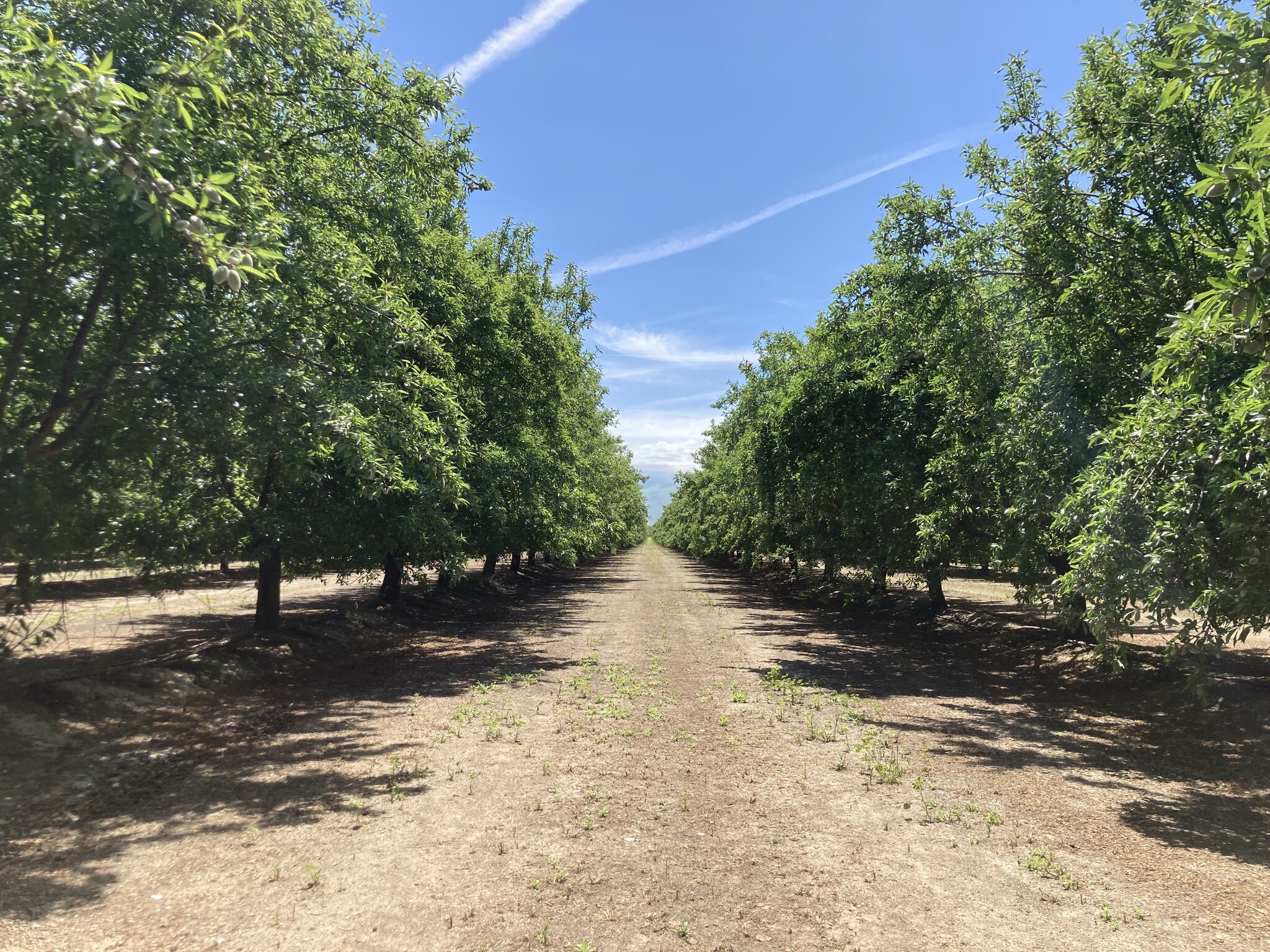 Old River Road, Bakersfield, CA for sale Other- Image 1 of 1