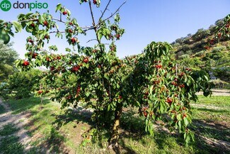 More details for Paseo la Duquesa, S/N, Pinos Genil - Land for Sale