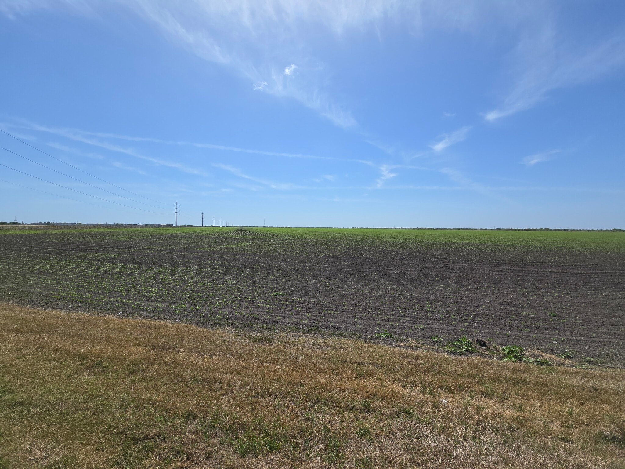 5959 Bear Ln, Corpus Christi, TX for sale Primary Photo- Image 1 of 3