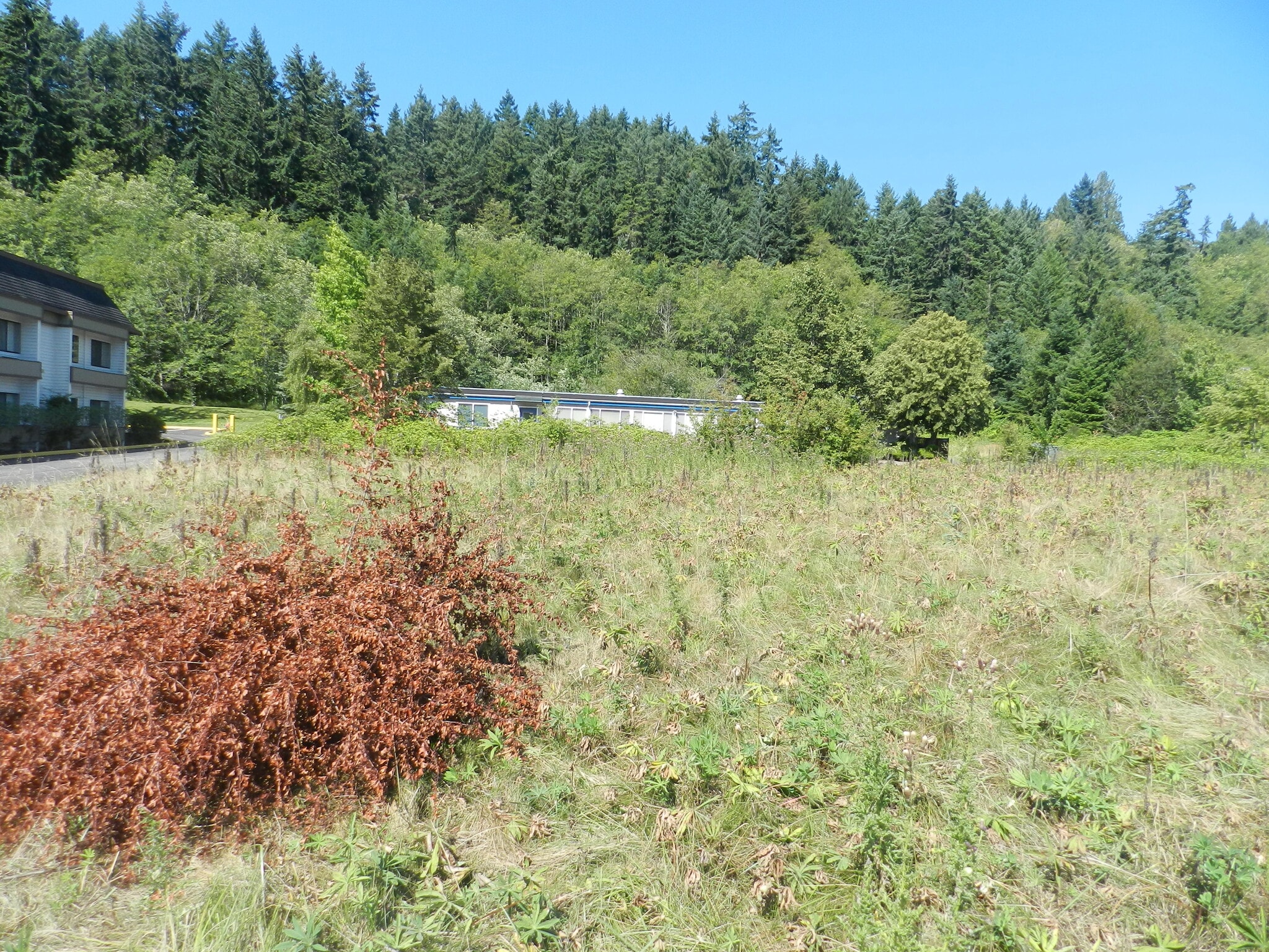 7th, Poulsbo, WA 98370, Poulsbo, WA à vendre Photo principale- Image 1 de 8