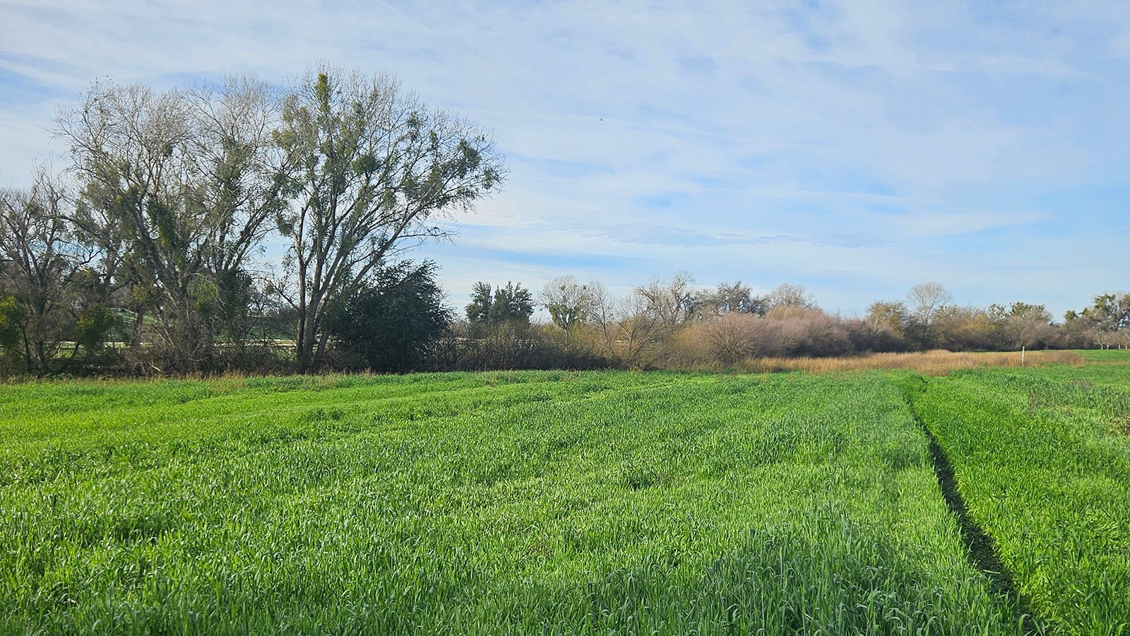 S. of SEC of S. Riverbend & E. Goodfellow Aves., Sanger, CA for sale Primary Photo- Image 1 of 5