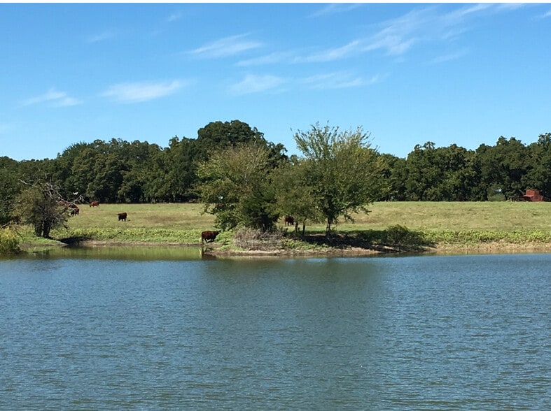 5655 Co 171 rd, Celina, TX for sale - Other - Image 2 of 11