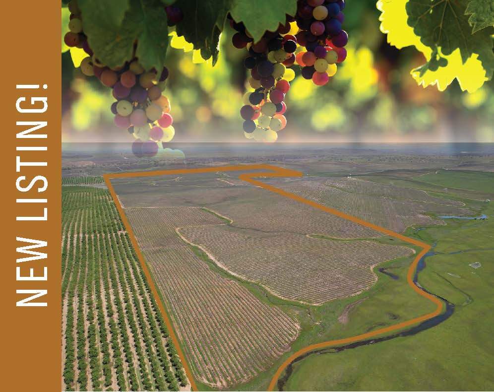 17559 Liberty rd, Clements, CA à vendre Aérien- Image 1 de 4