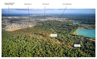 Plus de détails pour 53.8 Acres off Hwy 242, Conroe, TX - Terrain à vendre