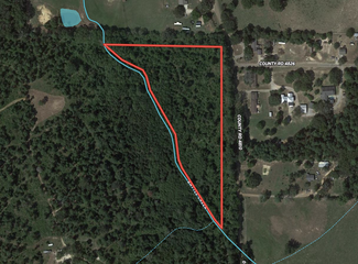 Plus de détails pour 1394 County Road 4810, Ben Wheeler, TX - Terrain à vendre