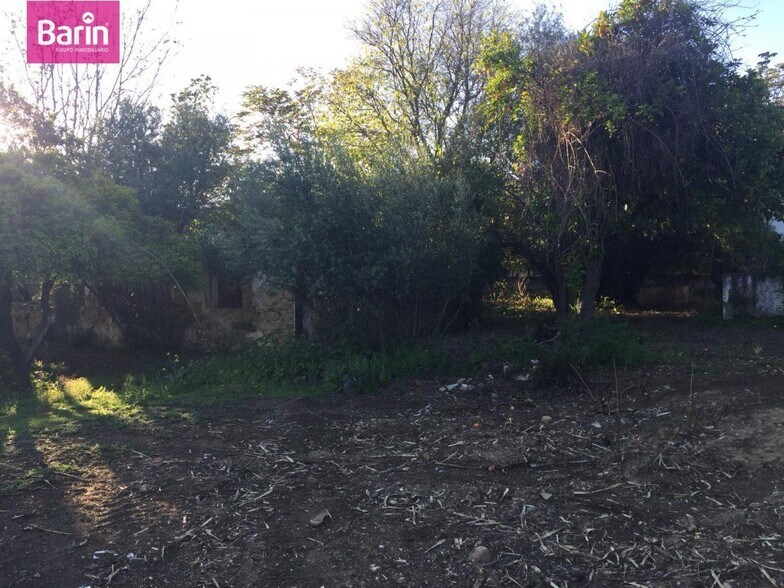 Land in Córdoba, Córdoba for sale - Primary Photo - Image 2 of 6