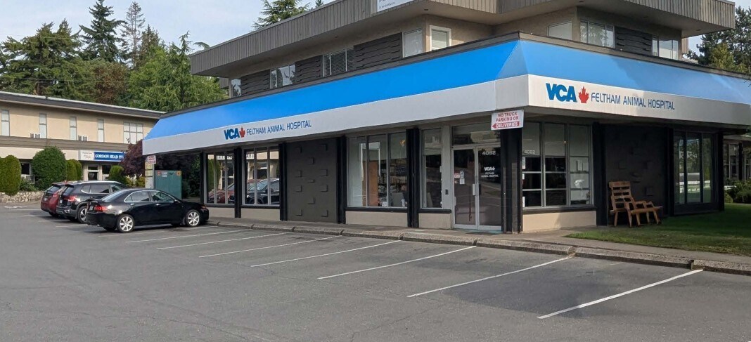 4086 Shelbourne St, Victoria, BC for lease Building Photo- Image 1 of 2