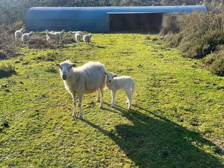Acevedo, Oia, Pontevedra à vendre - Photo du bâtiment - Image 2 de 42