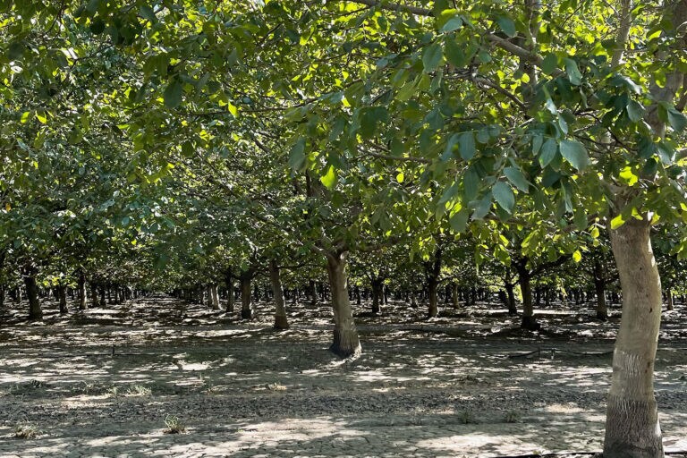 Old River Road, West Sacramento, CA for sale Primary Photo- Image 1 of 7