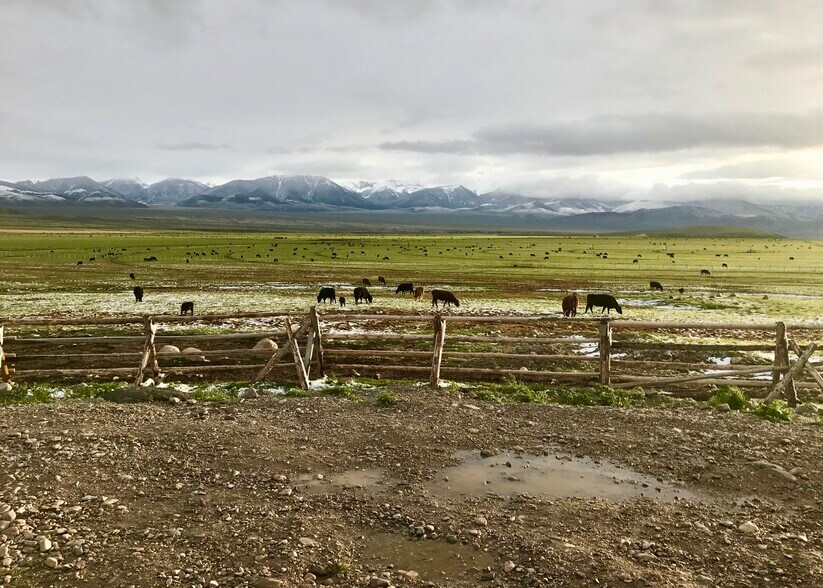 3750 Pahsimeroi Rd, May, ID à vendre - Autre - Image 1 de 41