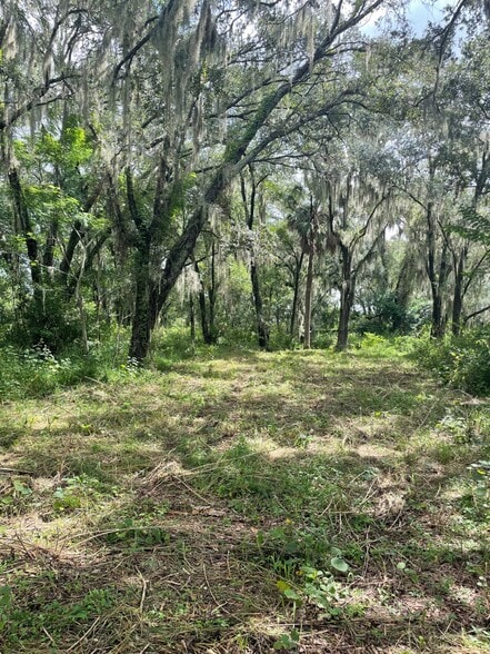 1225 Lake Pleasant Rd, Apopka, FL for sale - Other - Image 2 of 5