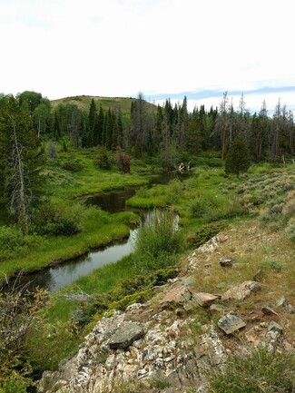 Plus de détails pour Jack Creek Road, Saratoga, WY - Terrain à vendre