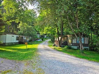 Plus de détails pour 4573 Bluff City Hwy, Bluff City, TN - Multi-résidentiel à vendre