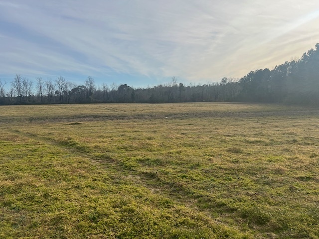 839 Lawson Rd, Loris, SC for sale - Building Photo - Image 2 of 9