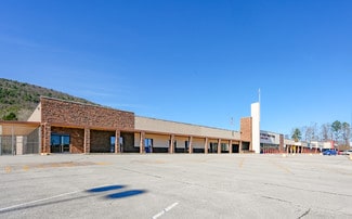 Plus de détails pour 10161 Dayton Pike, Soddy Daisy, TN - Commerce de détail à louer