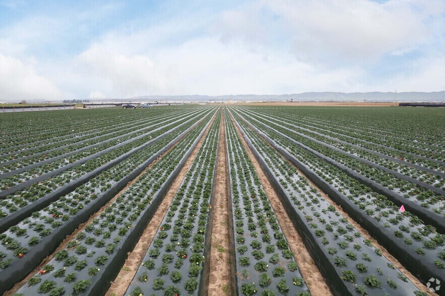 1702 Sinton Rd and 1505 Black Rd portefeuille de 2 propriétés à vendre sur LoopNet.ca - Photo du bâtiment - Image 1 de 13