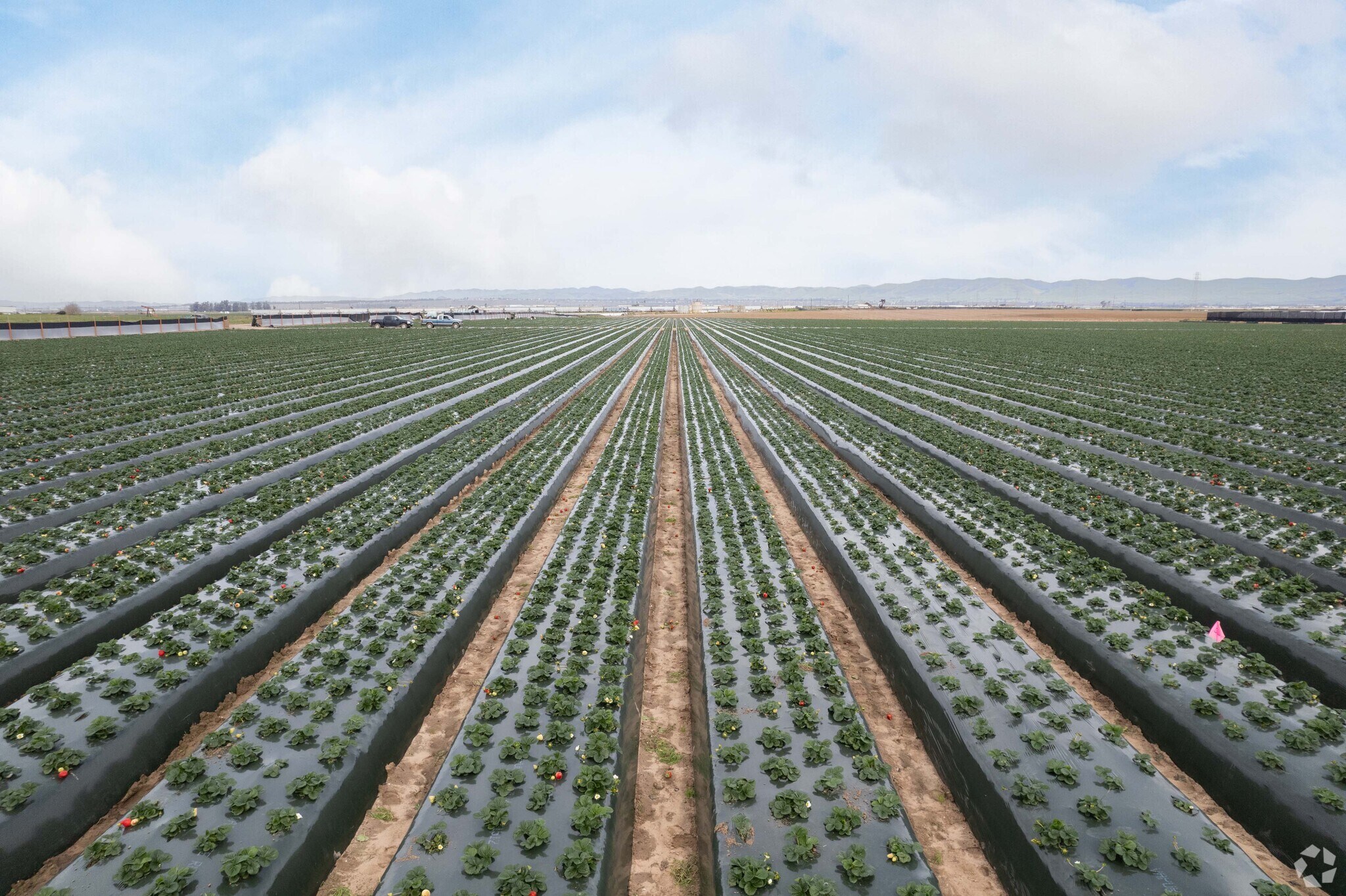 1702 Sinton Rd and 1505 Black Rd portefeuille de 2 propriétés à vendre sur LoopNet.ca Photo du bâtiment- Image 1 de 14