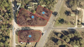 Plus de détails pour 25035 County Road 42, Paisley, FL - Terrain à vendre