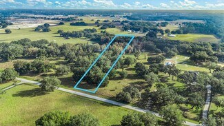 More details for Tract 1 - County Road 221, Wildwood, FL - Land for Sale