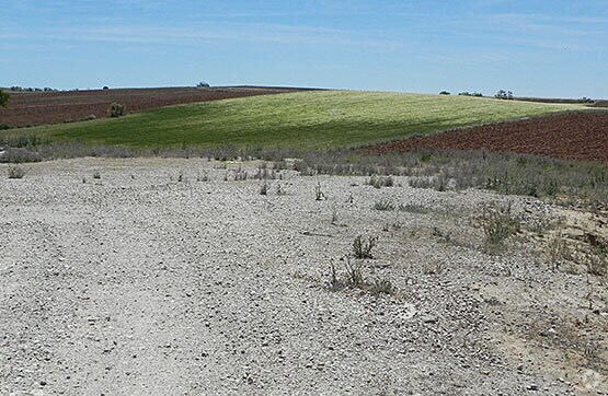 Parcela Centro el Salobrillo, 13 263, Ribatejada, Madrid à vendre - Photo du bâtiment - Image 2 de 7