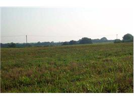 Boone Station Rd, Shelbyville, KY for sale Primary Photo- Image 1 of 2