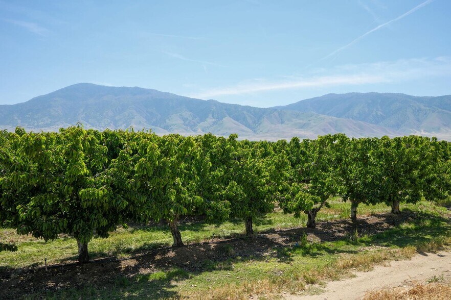 0 Rock Pile Road, Arvin, CA à vendre - Photo du bâtiment - Image 3 de 20