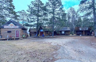 Plus de détails pour 37124 US 71, Lake George, MN - Commerce de détail à vendre