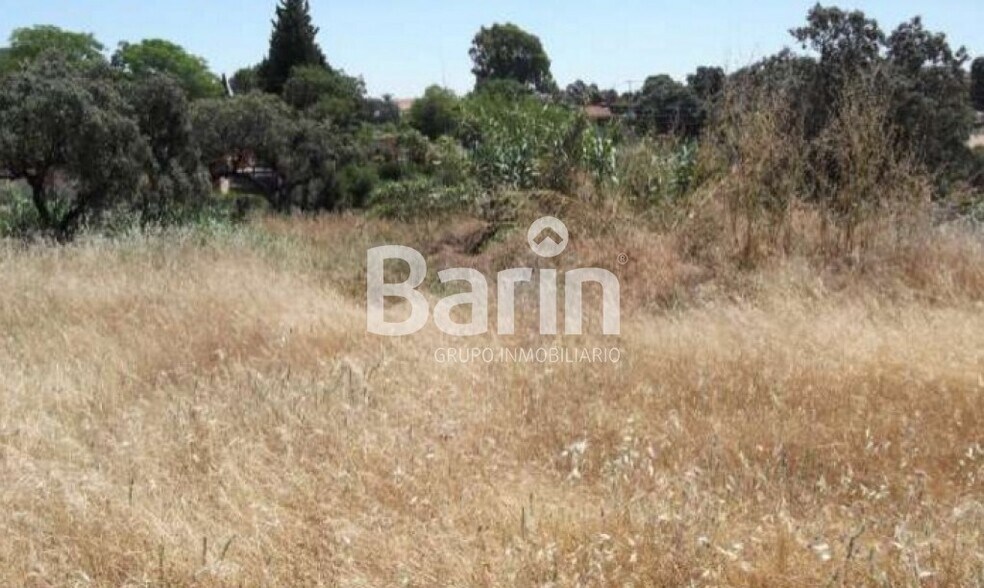 Land in Córdoba, Córdoba for sale - Primary Photo - Image 3 of 5