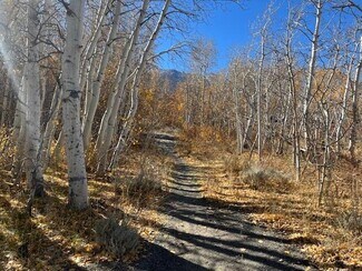 Plus de détails pour 3927 Crowley Lake Dr, Mammoth Lakes, CA - Terrain à vendre