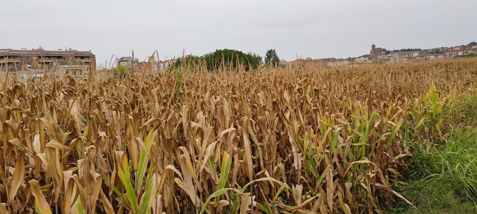 Camarasa-Sau, 4, Balaguer, Lérida for sale - Primary Photo - Image 3 of 8