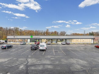 More details for 6704-6720 N Ridge Rd, Madison, OH - Retail for Sale