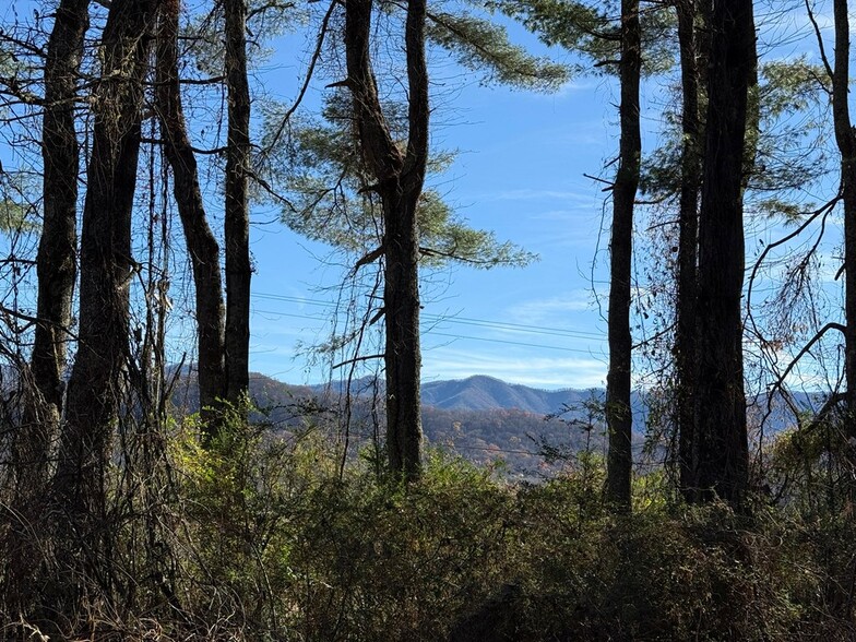 00 Airport Rd, Andrews, NC à vendre - Photo du bâtiment - Image 3 de 5