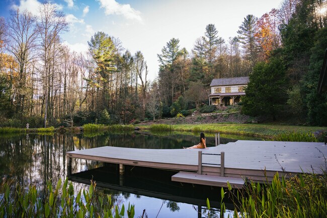 More details for 111 Fiddlehead Ln, Zirconia, NC - Specialty for Sale