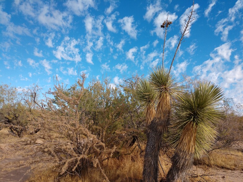 US 60, Wickenburg, AZ à vendre - Autre - Image 3 de 3