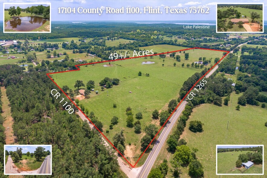 17104 County Road 1100, Flint, TX à vendre - Photo principale - Image 1 de 23