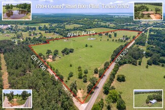 Plus de détails pour 17104 County Road 1100, Flint, TX - Terrain à vendre