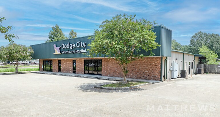 102 Hatchell Ln, Denham Springs, LA for sale Primary Photo- Image 1 of 5