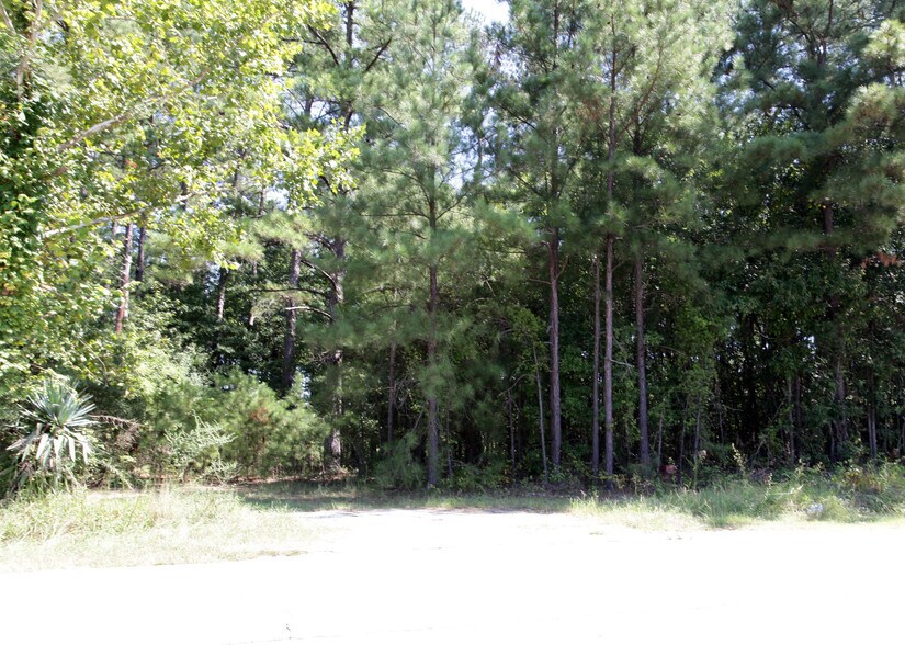 436 Main St, Blythewood, SC for sale - Primary Photo - Image 1 of 1